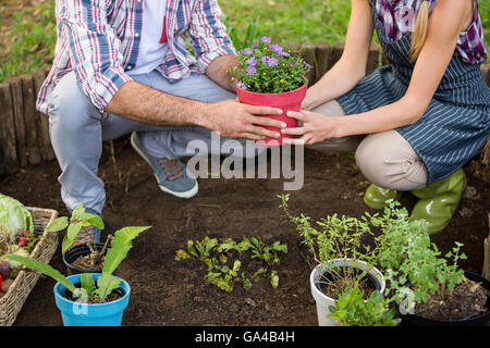 La section basse de jardiniers holding potted plant au jardin Banque D'Images