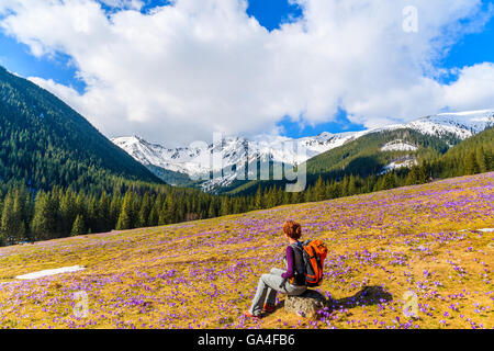 Jeune femme assise sur touristique mountain meadow avec crocus en fleurs fleurs, vallée Chocholowska, Tatras, Pologne Banque D'Images