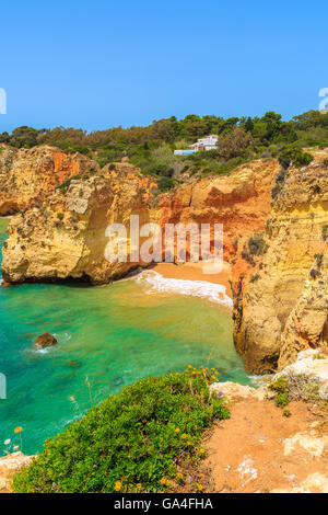 Les plantes vertes au printemps et voir de belle plage isolée, région de l'Algarve, Portugal Banque D'Images