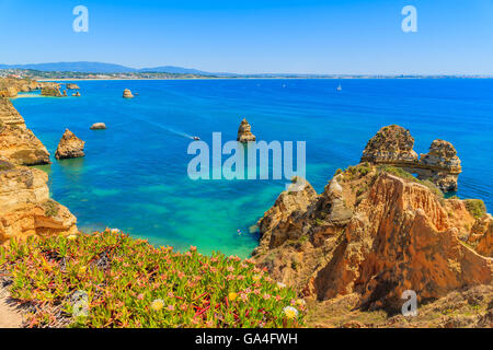 Des fleurs au printemps temps sur falaise et la mer turquoise de l'eau à Ponta da Piedade, région de l'Algarve, Portugal Banque D'Images