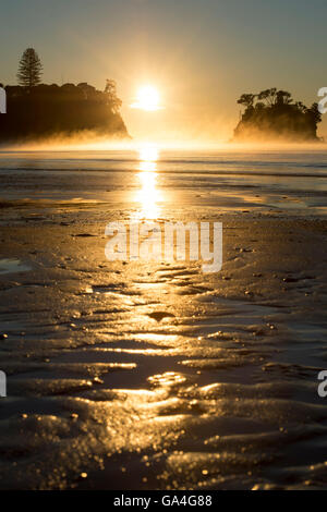 Lever du soleil derrière le Tor dans Waiake Bay, Torbay, sur un matin brumeux à Auckland en Nouvelle-Zélande. Banque D'Images
