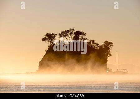 Lever du soleil derrière le Tor dans Waiake Bay, Torbay, sur un matin brumeux à Auckland en Nouvelle-Zélande. Banque D'Images