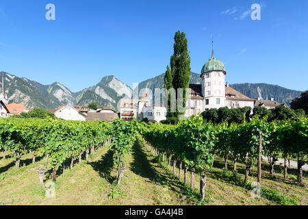 Zizers Château inférieur , maintenant une maison de retraite , le fleuve Johannesstift Suisse Grisons Grisons, Bündner Herrschaft Banque D'Images