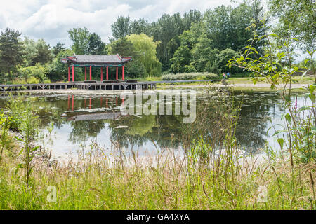 Le Jardin Chinois Festival Liverpool Merseyside England Otterspool Jardins Banque D'Images