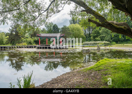 Le Jardin Chinois Festival Liverpool Merseyside England Otterspool Jardins Banque D'Images