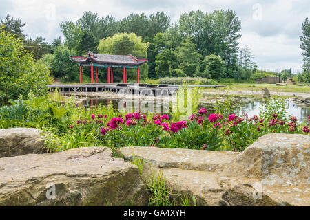 Le Jardin Chinois Festival Liverpool Merseyside England Otterspool Jardins Banque D'Images