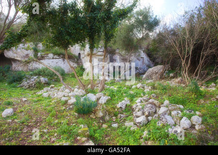 Noto, ruines d'anciens gymnase grec avec architrave et épigraphe. Sicile Banque D'Images