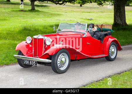 Rouge 1952 MG TF td à Leighton Hall Classic Car Rally, Carnforth, Lancashire, Royaume-Uni. 3 juillet, 2016. Le rallye automobile classique annuelle a lieu dans le magnifique hall Leighton dans Carnforth Lancashire. Les voitures de sport classique britannique Spectator a attiré des milliers de visiteurs dans cette partie du pays pittoresque sur la côte nord-ouest de l'Angleterre. Credit : Cernan Elias/Alamy Live News Banque D'Images