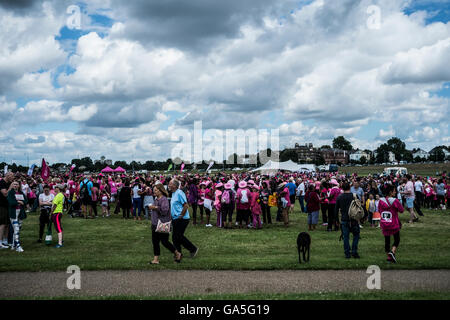 Londres, Royaume-Uni. 3 juillet, 2016. Des centaines de coureurs participent à un 5 km de course à l'appui de Cancer Research UK's Race for Life à Blackheath Common. Credit : claire doherty/Alamy Live News Banque D'Images