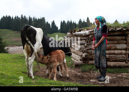 Qitai, Qitai, CHN. 1er juillet 2016. Qitai, Chine - 1 juillet 2016 : (usage éditorial uniquement. Chine OUT) Magnifique paysage de la montagne Tianshan après une pluie. Tian Shan se trouve au nord et à l'ouest de la désert de Taklamakan et directement au nord du bassin du Tarim le dans la région frontalière du Kazakhstan, du Kirghizistan et du nord-ouest de la Chine. Dans le sud, il s'associe avec les montagnes du Pamir et de l'Est et du Nord il rencontre les montagnes de l'Altaï de Mongolie. © SIPA Asie/ZUMA/Alamy Fil Live News Banque D'Images