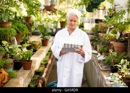 Female scientist using digital tablet au milieu de plantes Banque D'Images