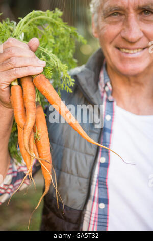 Portrait of happy gardener holding carrots at garden Banque D'Images
