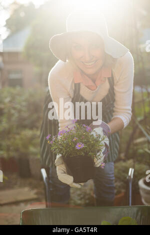 Jardinier femelle holding potted plants plus de brouette Banque D'Images