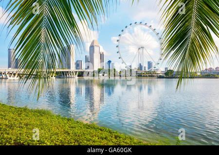 Jardins de la baie de Singapour à côté sur le premier plan palmier Banque D'Images