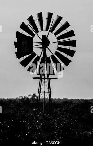 Ancien moulin à vent en noir & blanc Banque D'Images