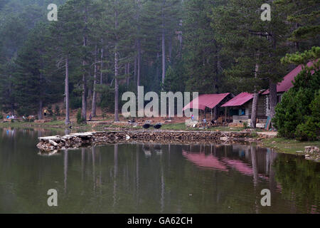 Maisons en bois et les Cèdres situé à Gokova Lake région. Banque D'Images