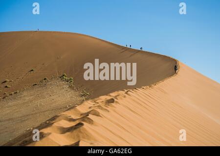 La marche dans le désert de Namib dunes Banque D'Images