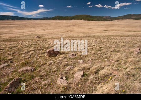 Parc à Valle Grande en Valles Caldera National Preserve, caldeira dans Jemez Mountains, près de Los Alamos, Nouveau Mexique Banque D'Images