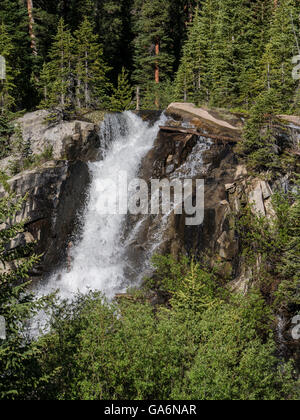 Cascade du ruisseau du Missouri (Missouri Lakes Trail, White River National Forest, Sainte Croix Désert, Colorado. Banque D'Images