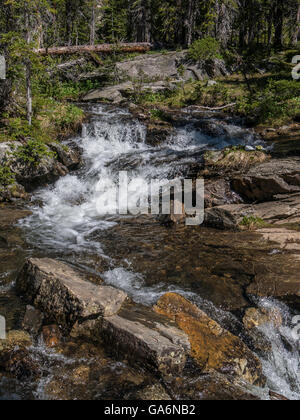 Creek, Missouri Missouri Lacs Trail, White River National Forest, Sainte Croix Désert, Colorado. Banque D'Images