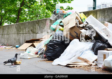 Gardiennage pigeon un morceau de pain à côté de sac à déchets et un tas de saletés sur la rue Banque D'Images