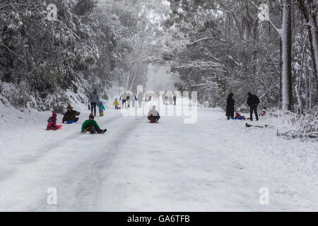 Mont Donna Buang, Victoria, Australie - 25 juin 2016 : personnes à pied et l'tobogganning route couverte de neige sur le mont Donna B Banque D'Images