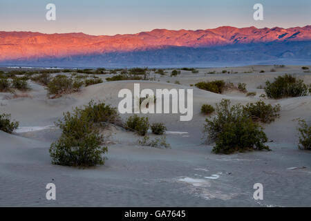 Lever du soleil sur l'horizon à Mesquite Sand Dunes in Death Valley National Park, California, USA Banque D'Images