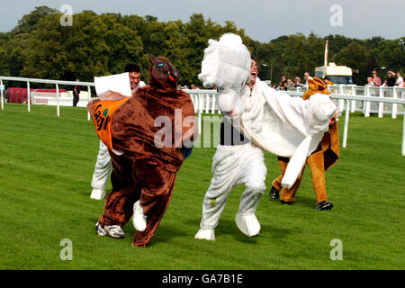 Les courses de chevaux - PFA & Nuit Elmbridge - Sandown Park Banque D'Images