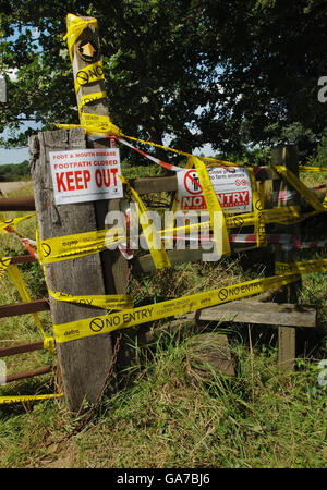 Terres agricoles en cordonée près des laboratoires Pirbright à Surrey, soupçonnées comme source de la récente éclosion de fièvre aphteuse chez les bovins locaux. Banque D'Images