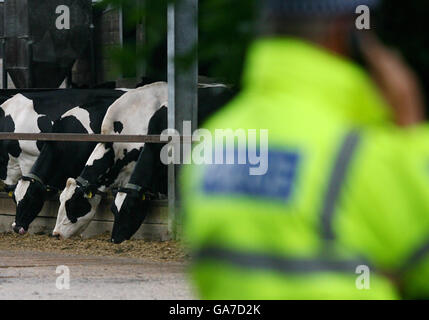 Un policier à l'extérieur de Honeychild Manor Farm, dans la région de St Mary, dans la région de Marsh de Romney Marsh, dans le Kent, qui fait l'objet d'une enquête pour une éclosion de fièvre aphteuse. Banque D'Images