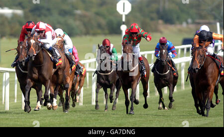 Les courses de chevaux - Newbury Banque D'Images