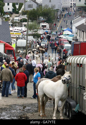 Les commerçants de chevaux à la foire d'Auld Lammas à Ballycastle, Co Antrim. Banque D'Images