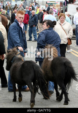 Les commerçants de chevaux à la foire d'Auld Lammas à Ballycastle, Co Antrim. Banque D'Images