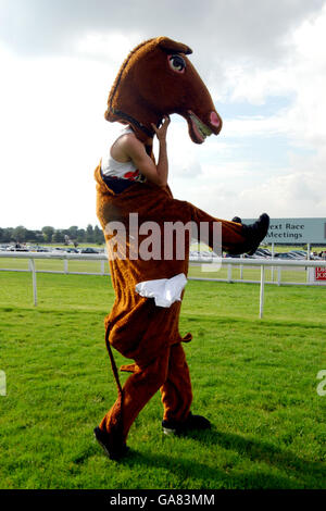 Les courses de chevaux - PFA & Nuit Elmbridge - Sandown Park Banque D'Images