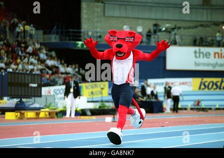 Athlétisme - Grand Prix Norwich Union - Birmingham NIA Banque D'Images