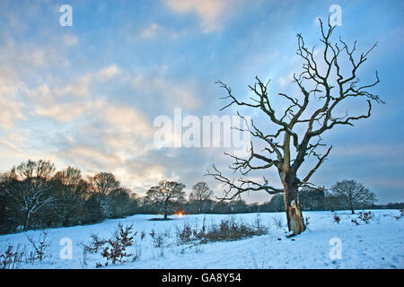 Coucher du soleil sur la neige en hiver, Hampstead Heath, London, UK, janvier 2013. Banque D'Images