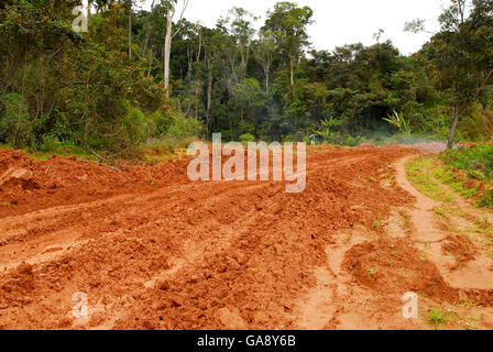 Près de la mine de graphite Parc Mantadia- Andasibe Parc National, l'un des problèmes environnementaux affectant l'écosystème de la forêt tropicale. Madagascar, mars 2005. Banque D'Images