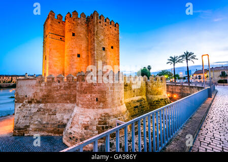 Cordoue, Andalousie, espagne. Pont romain sur le Guadalquivir, la Tour de la Calahorra. Banque D'Images