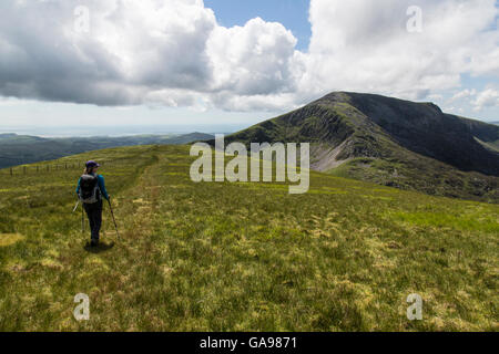 Un randonneur qui arrive sur la femelle Nantle Ridge à pied dans la région de Snowdonia, le Nord du Pays de Galles. Marchant vers le sud, juste après l'Obélisque. Banque D'Images