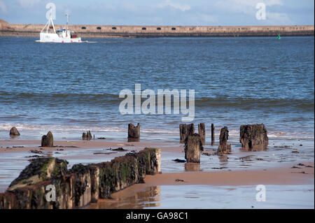 Trawler entrant dans la Tyne, South Shields, South Tyneside Banque D'Images