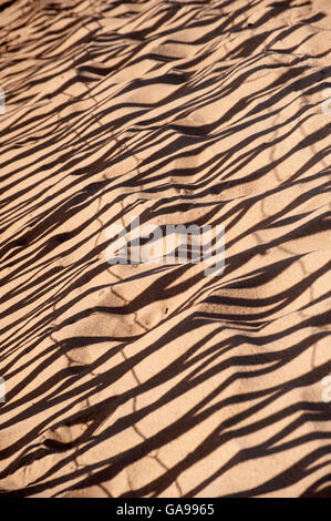 Ombres de trappe de sable,clôtures Sandhaven Beach, South Shields, South Tyneside Banque D'Images