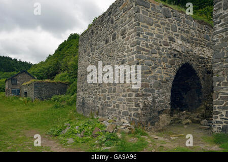 Ancien four à chaux à bouche Mill, près de Clovelly, Devon Banque D'Images