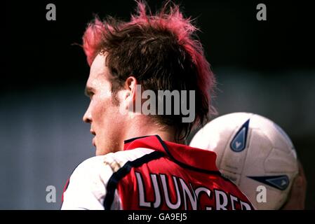 Football - coupe AXA FA - quart de finale - Replay - Arsenal / Newcastle United. Fredrik Ljungberg, Arsenal Banque D'Images