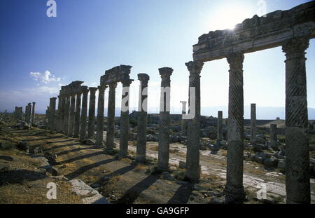 Les ruines d'Apamée près de la ville de Hama en Syrie au Moyen-Orient Banque D'Images