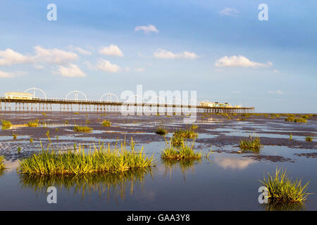 Southport, Merseyside, Royaume-Uni. 5 Août, 2016. Météo France : le lever du soleil sur la jetée de Southport, Merseyside. UK. 05-08-2016 Un homme prend une promenade matinale le long du rivage de la plage de Southport. Lorsque la marée se retire, les piscines de ciel bleu la litière de sable ondulé. Après une journée de forte pluie hier, les vacanciers se rassembleront à la mer ce week-end pour profiter de la chaleur de l'été. L'accrétion des sédiments, sable habituellement, ce qui est évident par l'avance au large d'un rivage indicateur, comme la haute mer, berme crest, ou ligne de végétation. Credit : Cernan Elias/Alamy Live News Banque D'Images