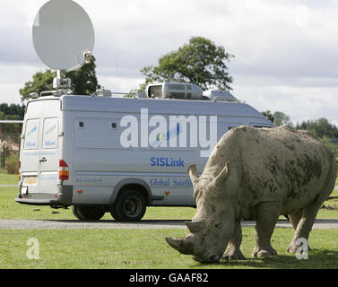 Un camion satellite SIS pendant qu'il filme sur place Mazumba, le bébé rhinocéros blanc africain d'une semaine, après qu'elle ait fait ses débuts en public aux côtés de la mère Dorothy dans leur nouvelle enceinte au parc de safari Blair Drummond près de Stirling. Le Rhino blanc est le premier à être né au parc . Banque D'Images