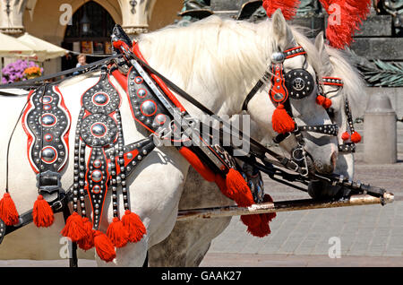 Les chevaux, de la place du marché, Cracovie, Pologne Banque D'Images