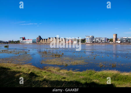 Allemagne, Cologne, vue sur le Rhin de l'immeuble de bureaux dans la région de Rheinau Harbour Banque D'Images