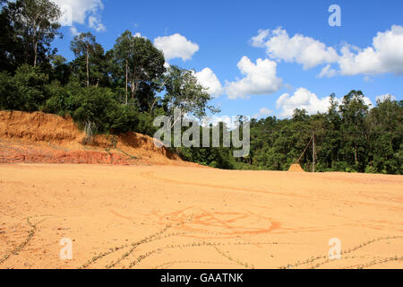 La destruction de la couche arable dans terres déboisées, centre de Kalimantan, la partie indonésienne de Bornéo. Juin 2010. Banque D'Images