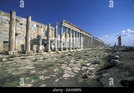 Les ruines d'Apamée près de la ville de Hama en Syrie au Moyen-Orient Banque D'Images